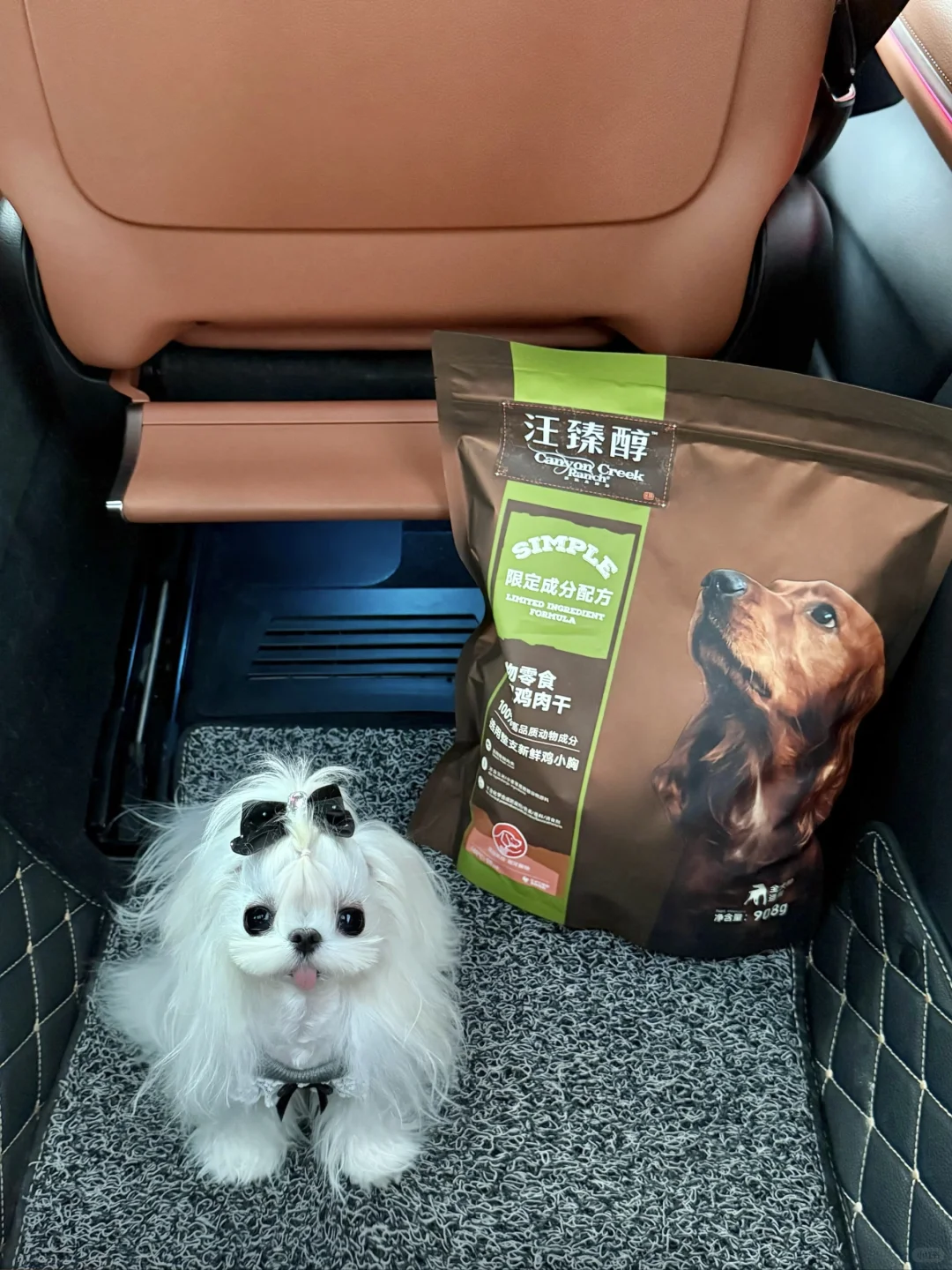 分享欲极强小狗🐶我的风干鸡肉干给你一个