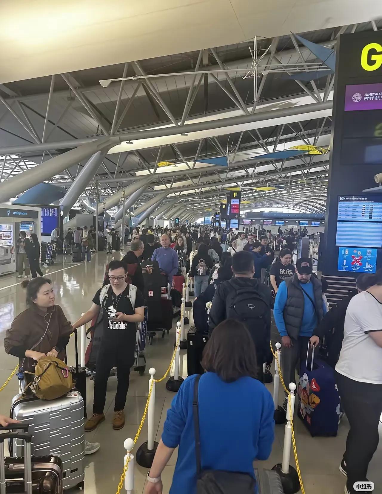 非要去日本，这下尝到后果了吧？
日本西关机场里，想回国的中国人排得满满当当，队伍