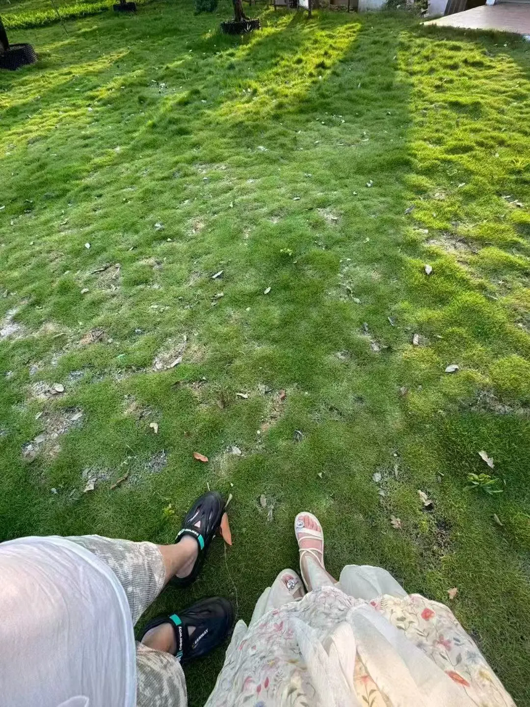 这个草坪好舒服啊草坪好绿啊
