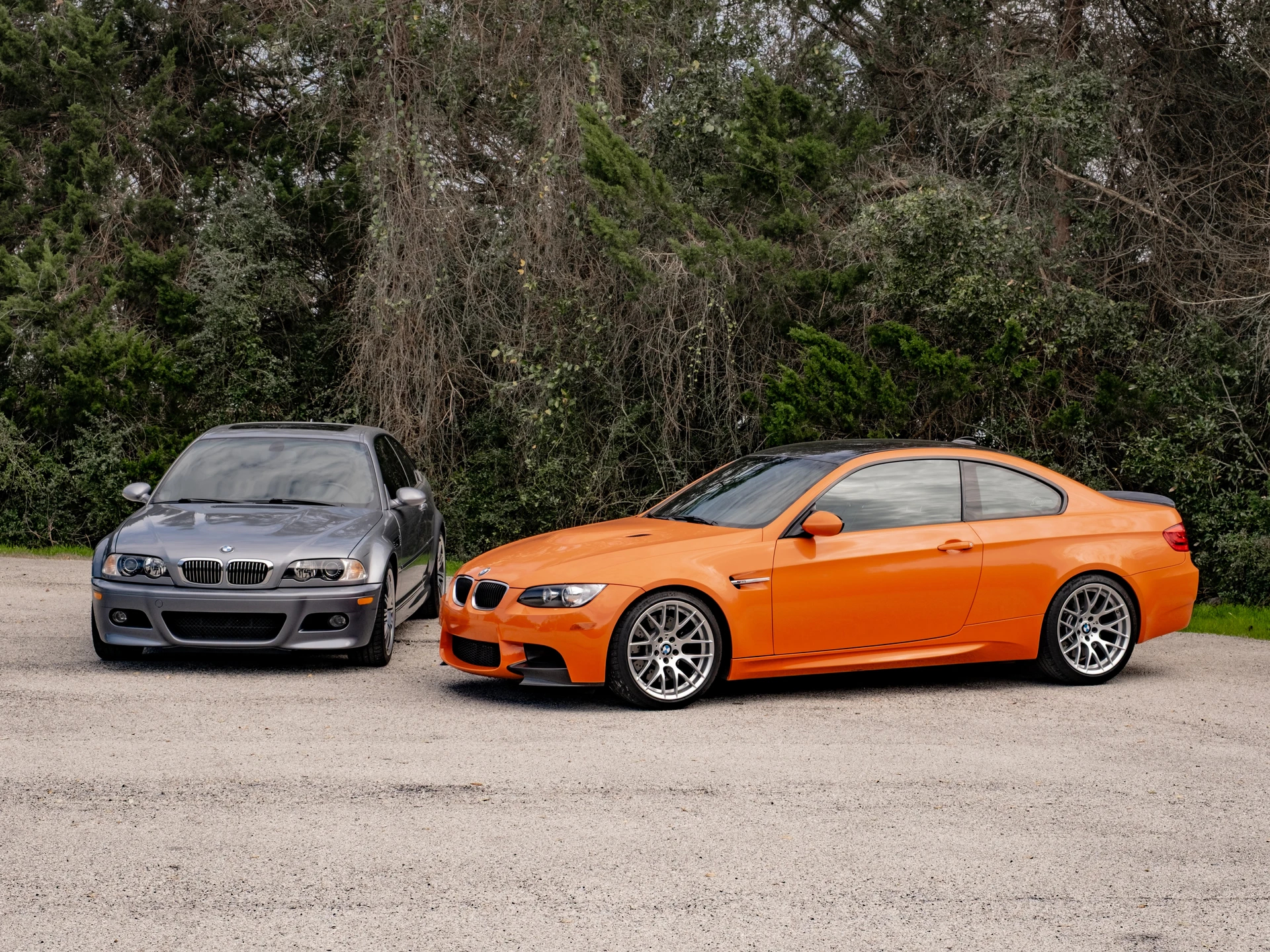 Morning柴斯基的早安图