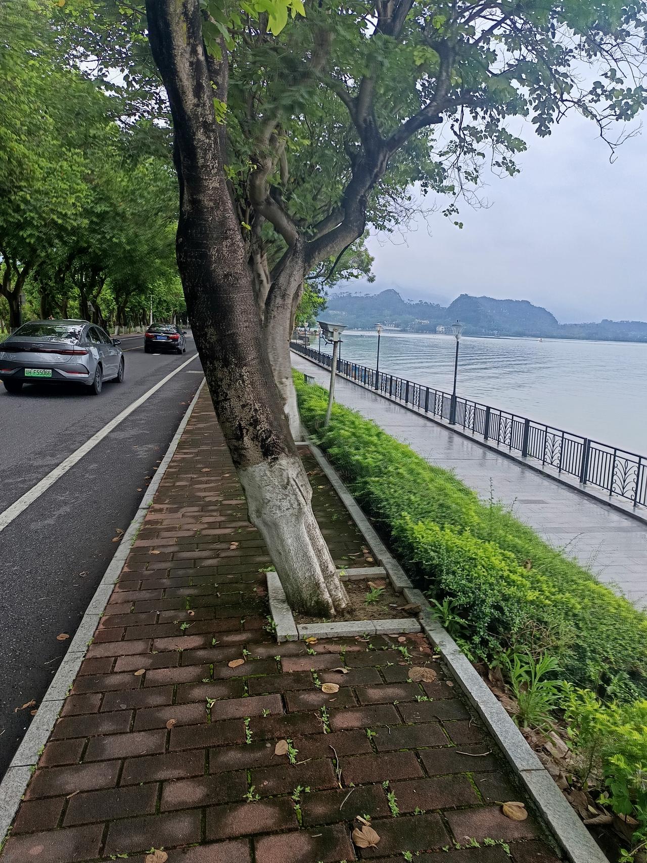 我在七星岩风景区
发现一个很严重的问题
但不知道怎么说才好




你敢相信吗？
