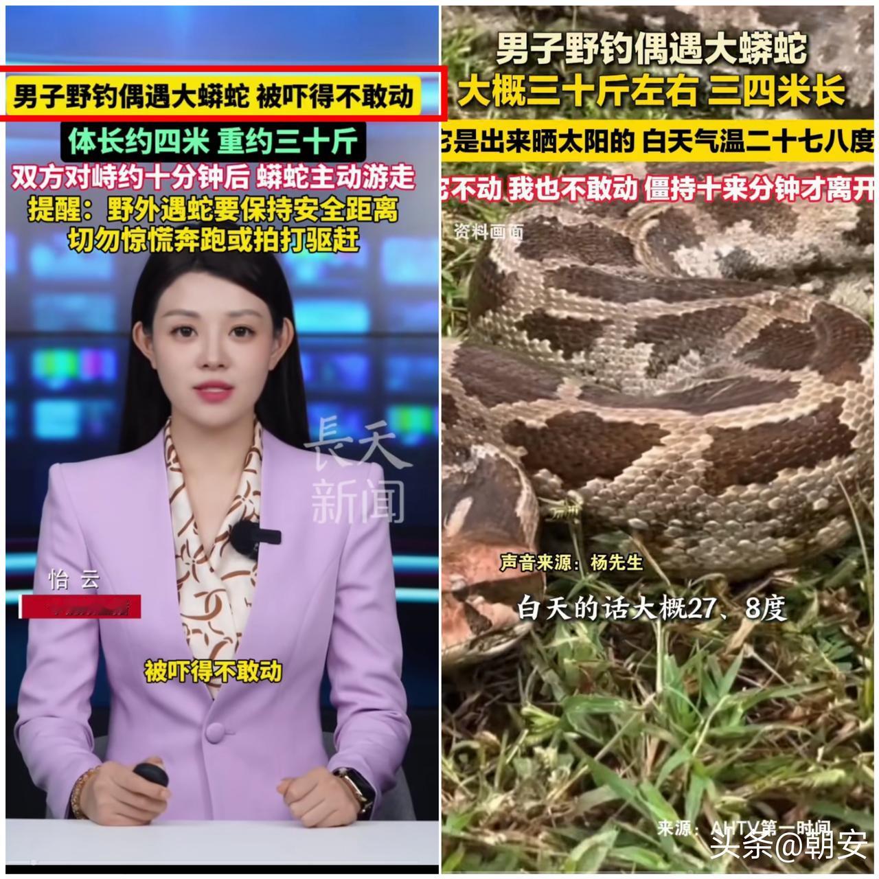 太可怕了！

广东梅州钓友野钓遇“大货”，看清后魂都吓飞了！
 
杨先生本想河边