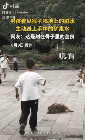 “上新华社了！”贵州景区里，一个七八岁的小男孩发现小猴子在舔地砖缝中的脏水，于心