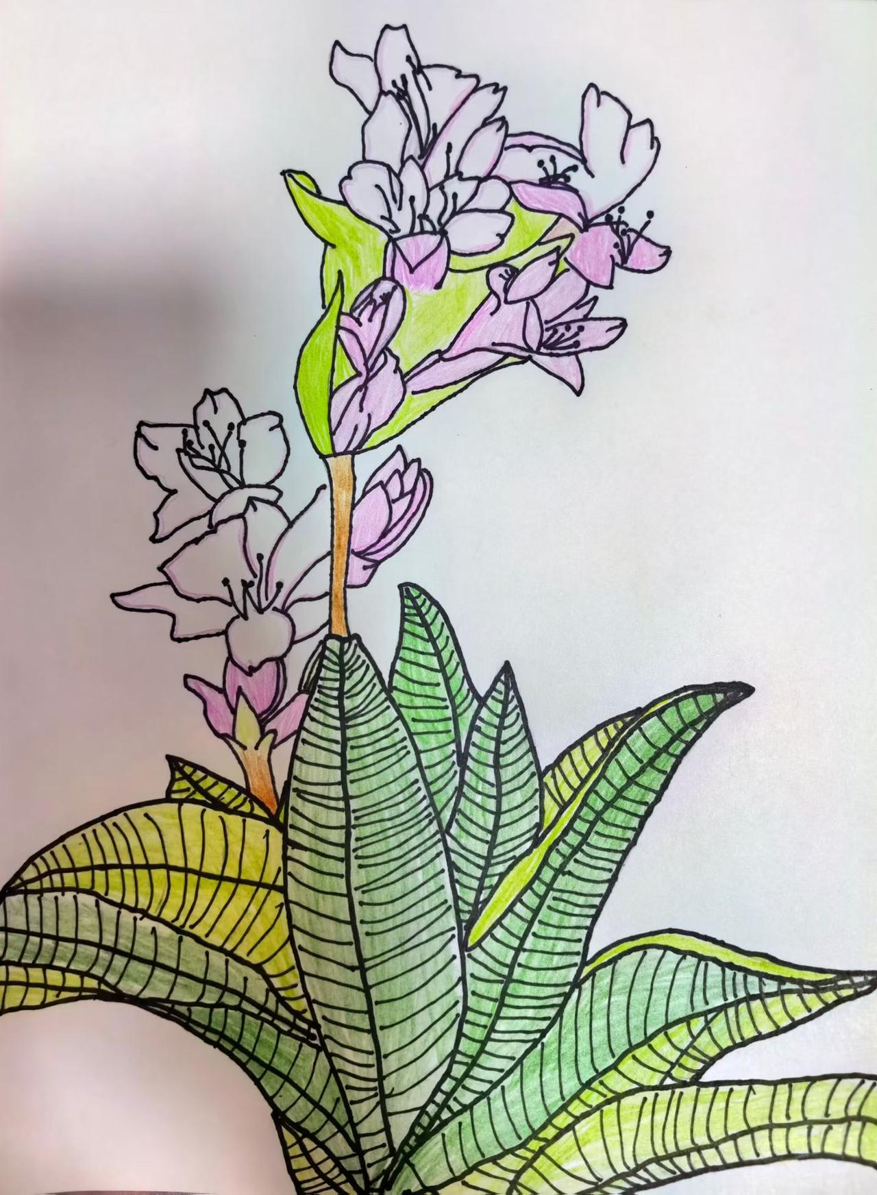 你别不相信，
只有快乐，
运气才会好，
把跟自己无关的东西全部放掉，
你只需要考