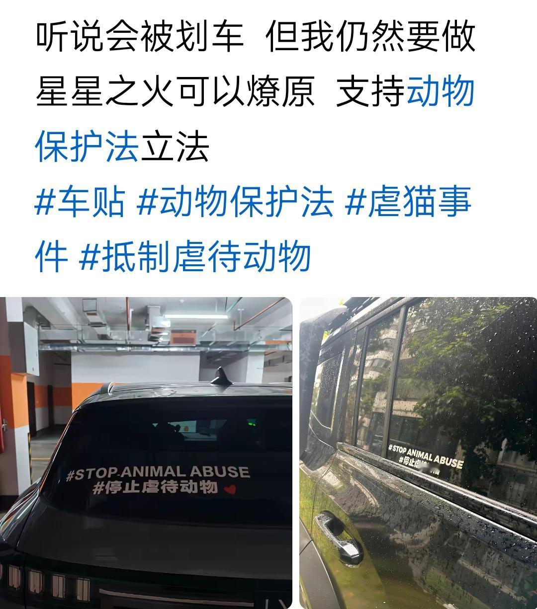 吃肉就是最大的虐待动物。