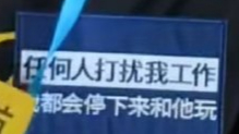 太需要张若昀这样的同事了我也想要张若昀这样的同事张若昀这精神状态无敌！一起去看刘