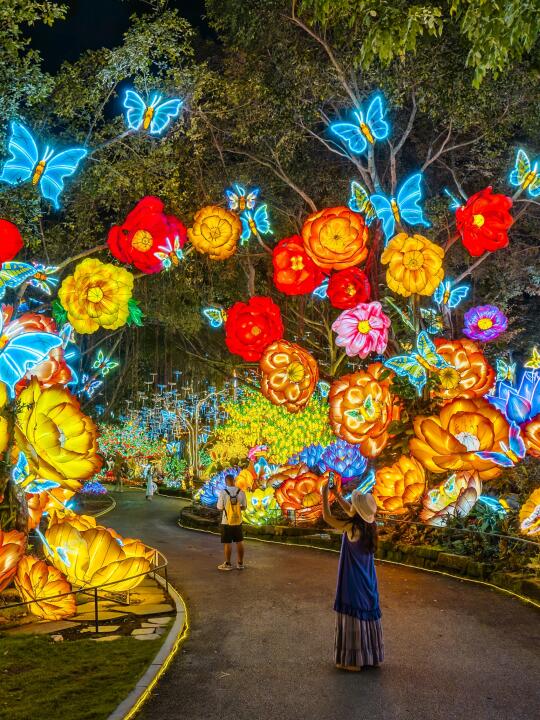 这个夏天一定要来打卡南宁夜花园的魔幻世界