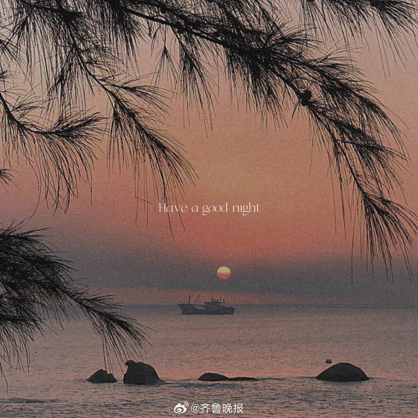 先沉淀再发光#晚安#