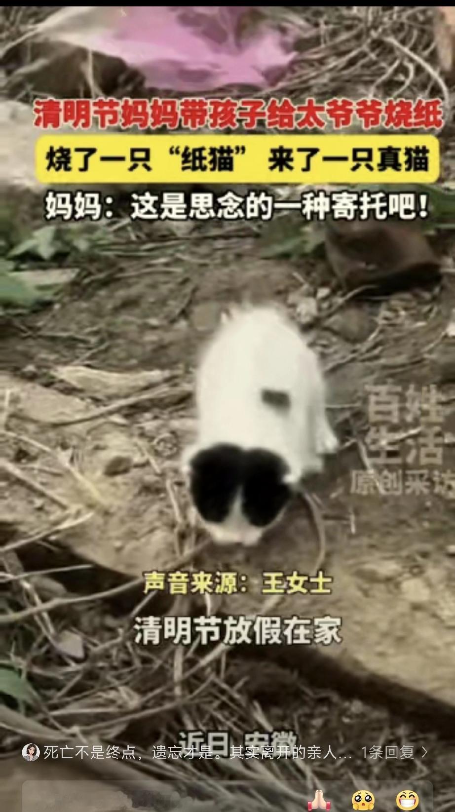 科学解释不清了！安徽，13岁男孩给去世的太爷爷烧纸，特意烧了一只纸猫，怕老人在那