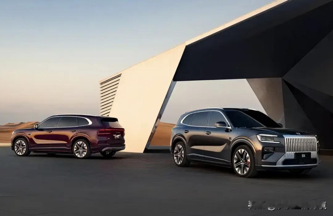 极氪8X，意向金已下，看了下配置差异，MAX版基本是为了拉低售价用的，走量还是得