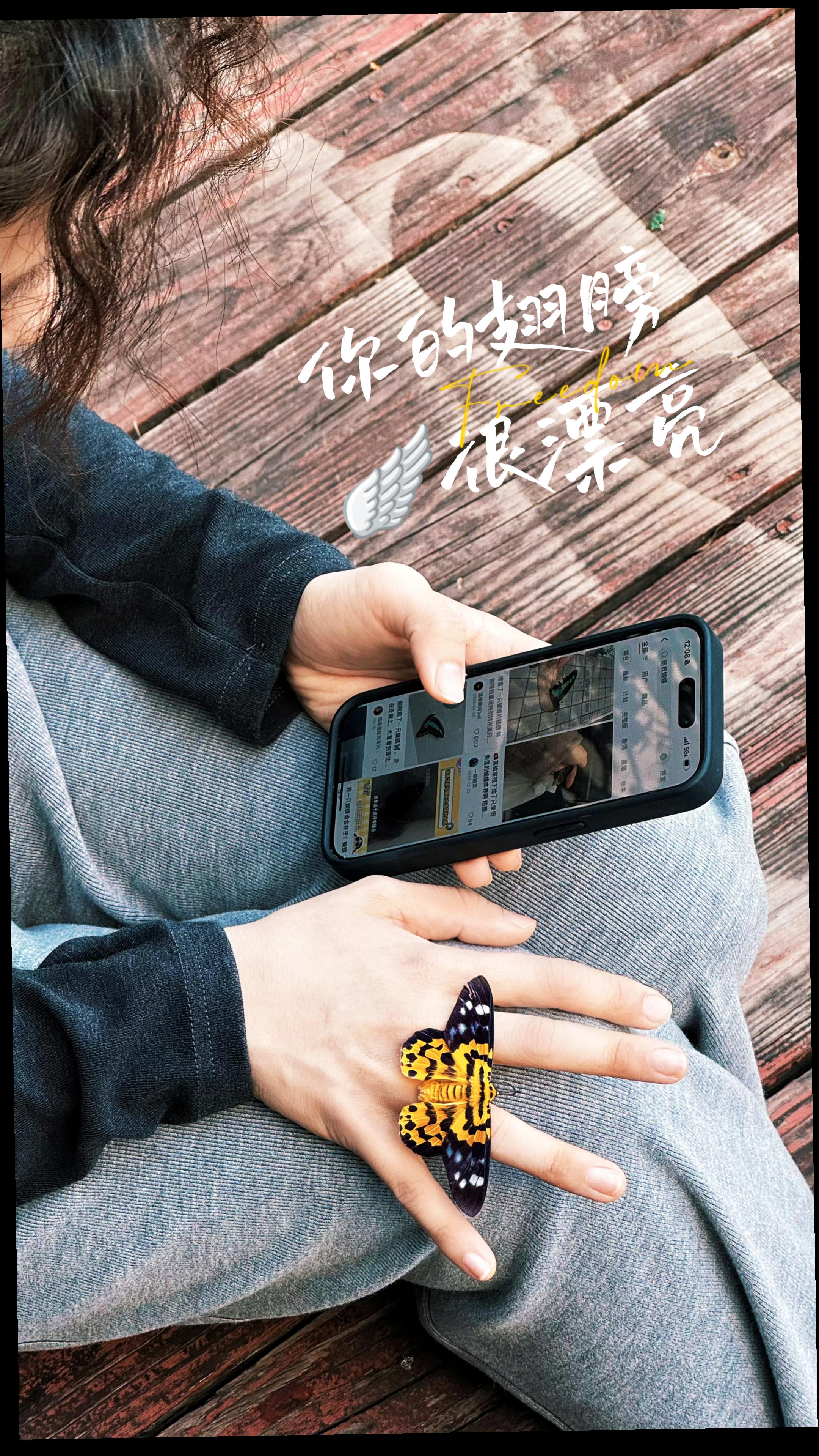 别放弃，你的翅膀很漂亮🥺