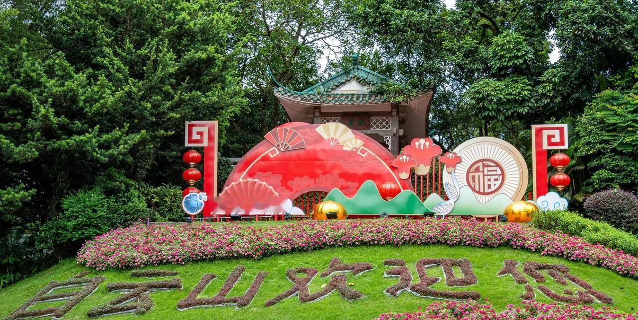 云山之上，俯瞰羊城。白云山半日徒步，登顶摩星岭。山风拂面，远眺万家楼宇，遇见广州