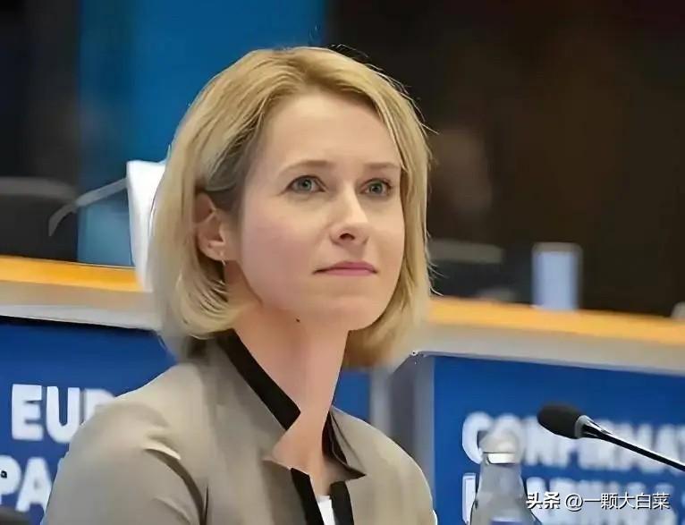 卢比奥和卡拉斯激烈争吵后，当场撂下一句狠话，现场全都不吭声了！

据美国Axio