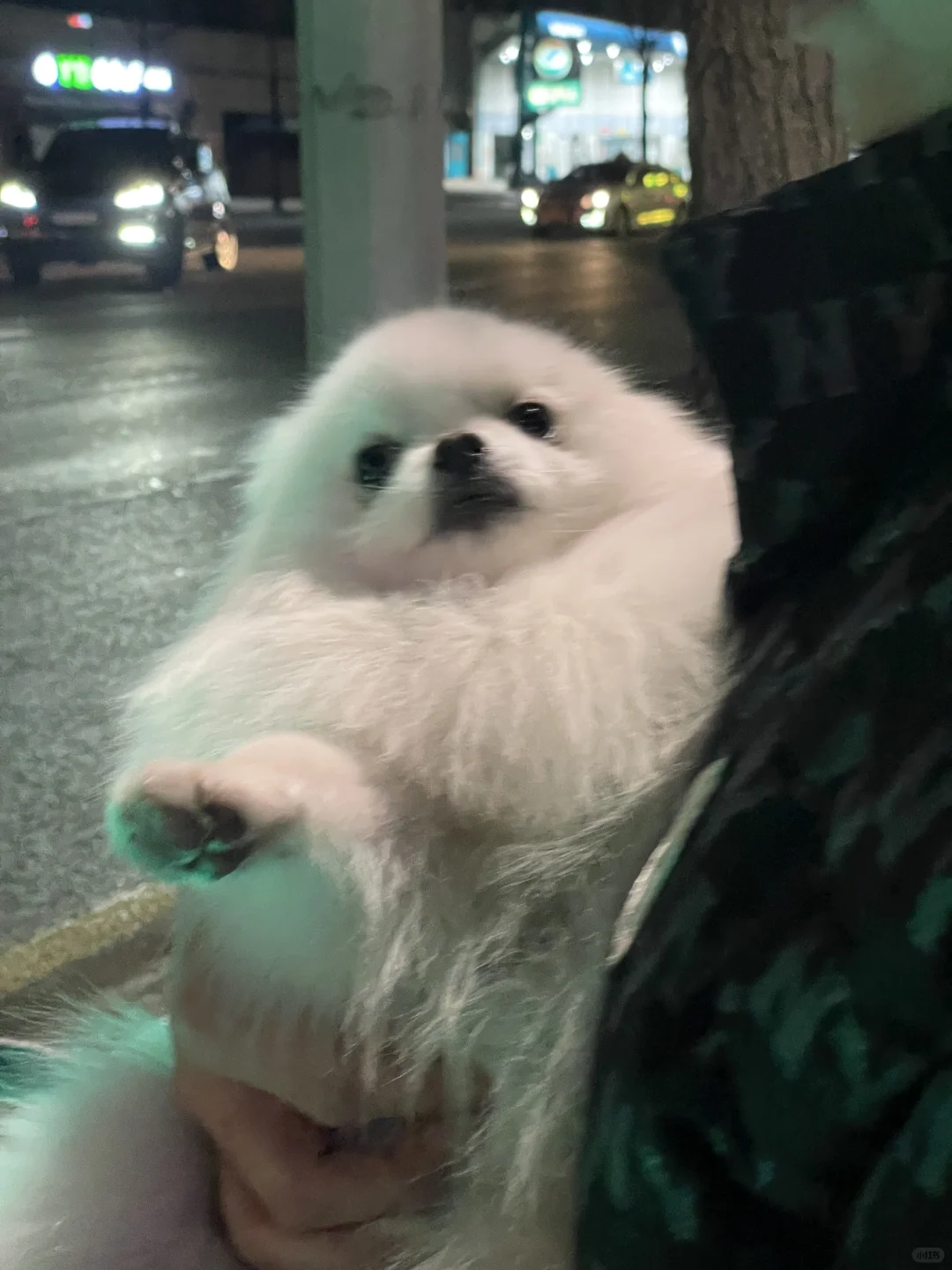 宝宝你是一个发面馒头