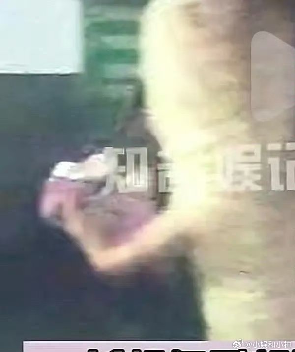 齐思钧女朋友疑似马凡舒齐思钧现女友疑似马凡舒大学同窗旧友重逢，齐思钧马凡舒同框画