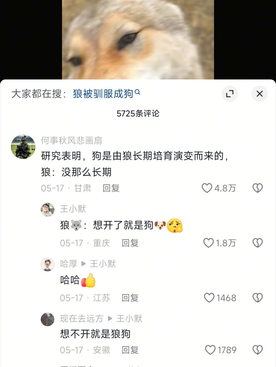 越来越多人发现《狼图腾》是一个笑话。因为越来越多人发现“狗不是一个物种，而是一种