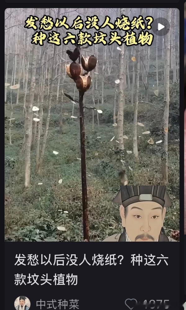 小红书的算法还真是替我想得周到呢