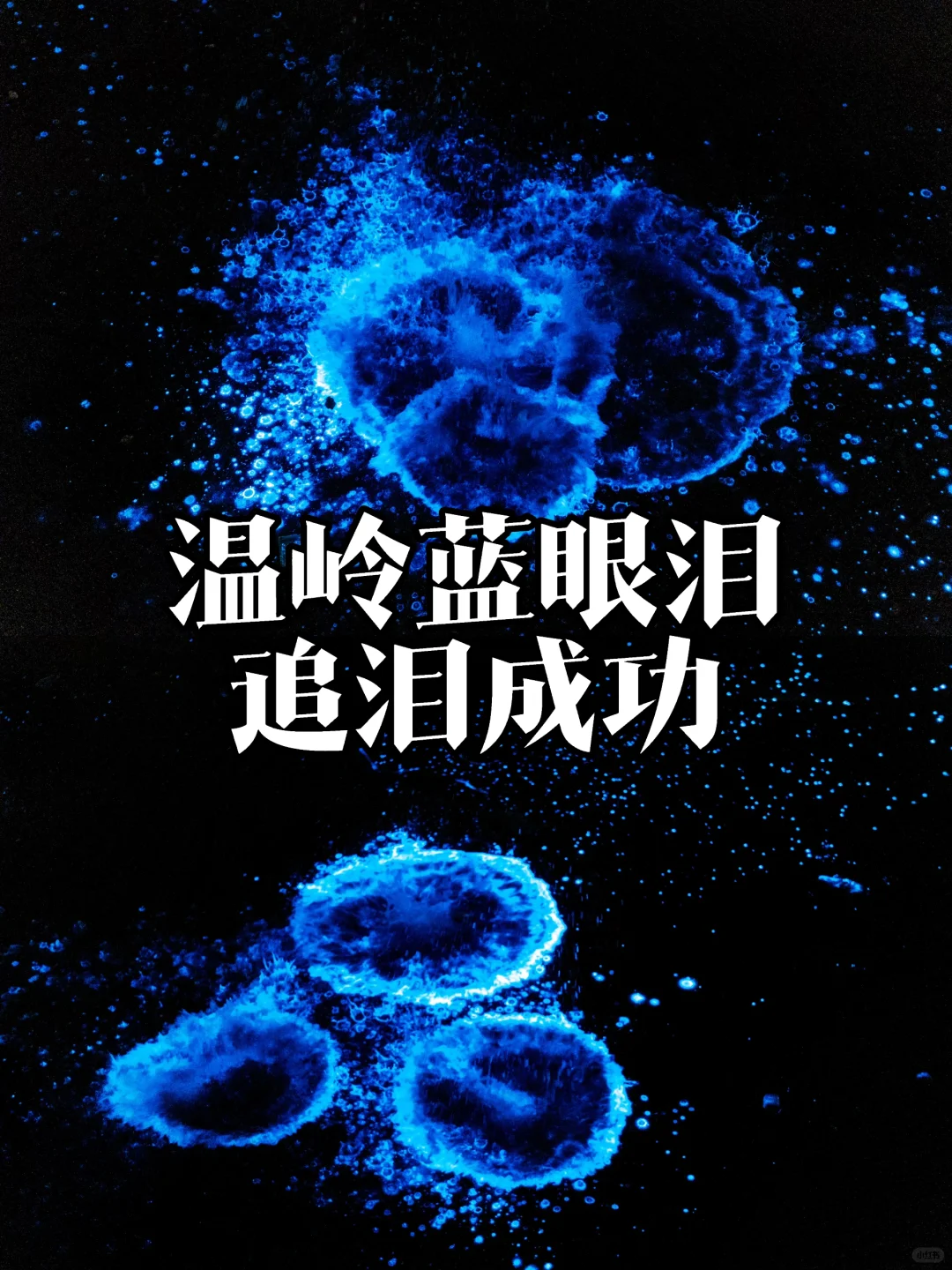 💙在温岭石塘追泪成功！✨今晚预计还会大爆发