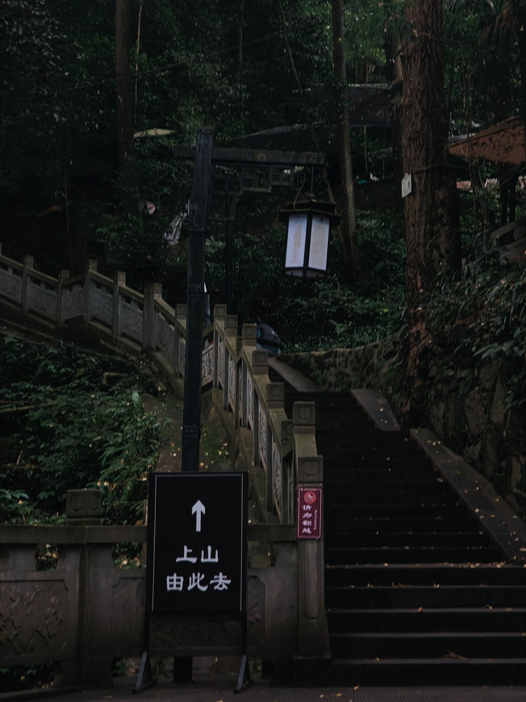 所谓骤雨 