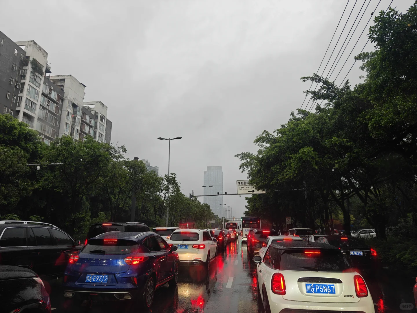 这雨下的女娲都想出来帮忙了，一路上送娃娃上学的、上班的堵成一团，平时1...