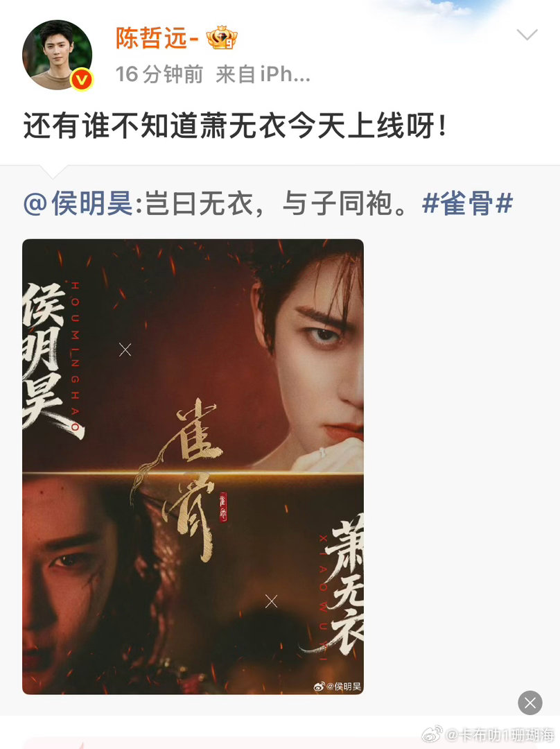 陈哲远何侯明昊关系不错 