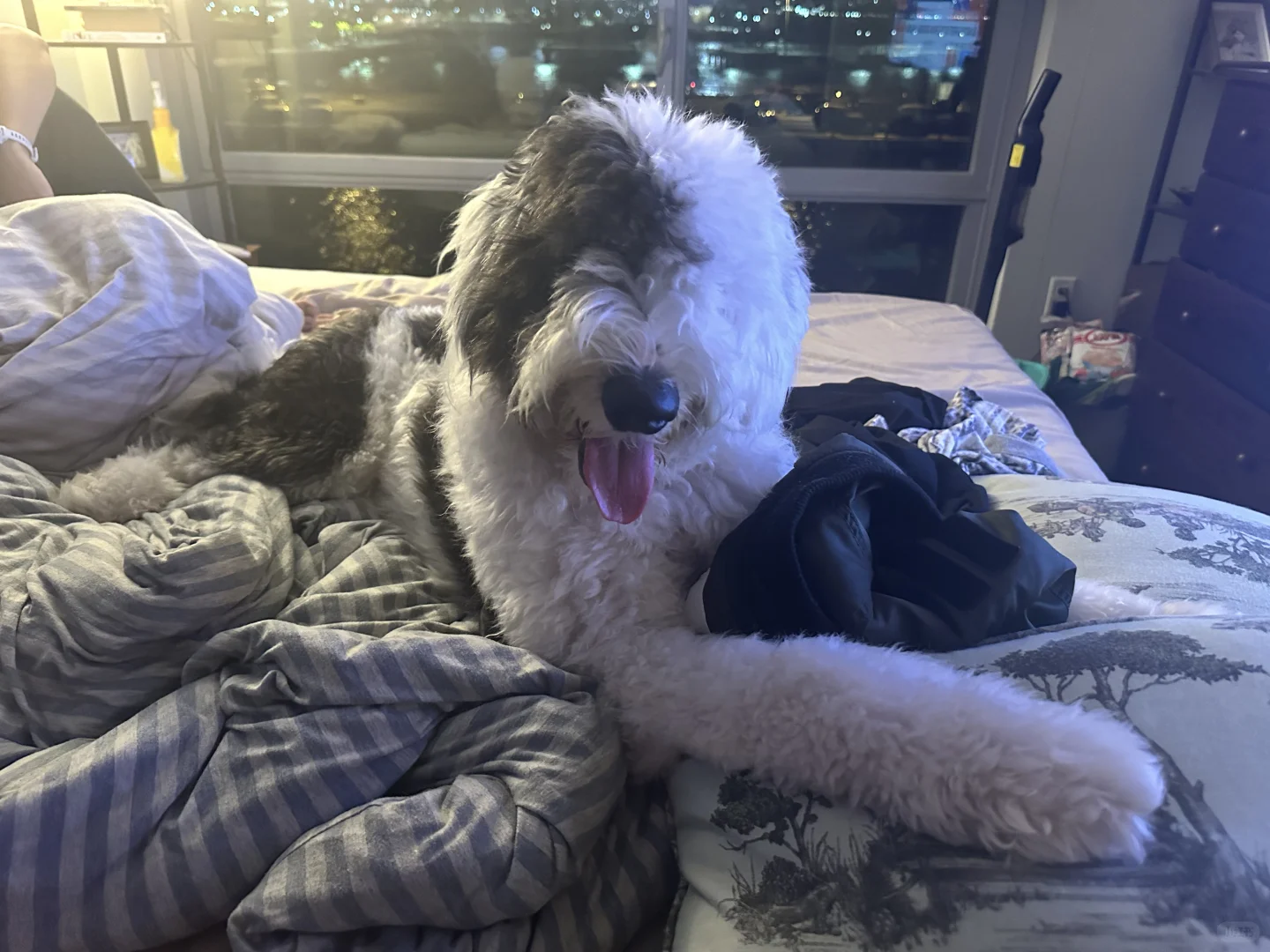 东亚家长的觉悟