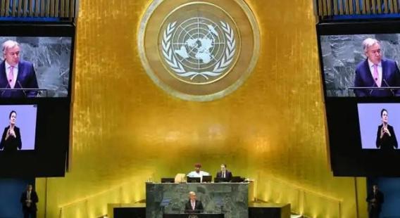 “报仇不隔夜！”
 
72名以议员直接绕开中国大陆，支持台湾加入国际组织。可他们