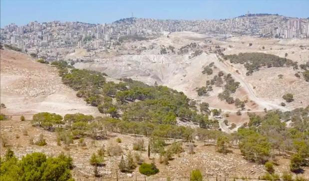 这波操作太离谱，以色列一句话就拍板，在约旦河西岸再砸19个犹太人定居点，要知道从