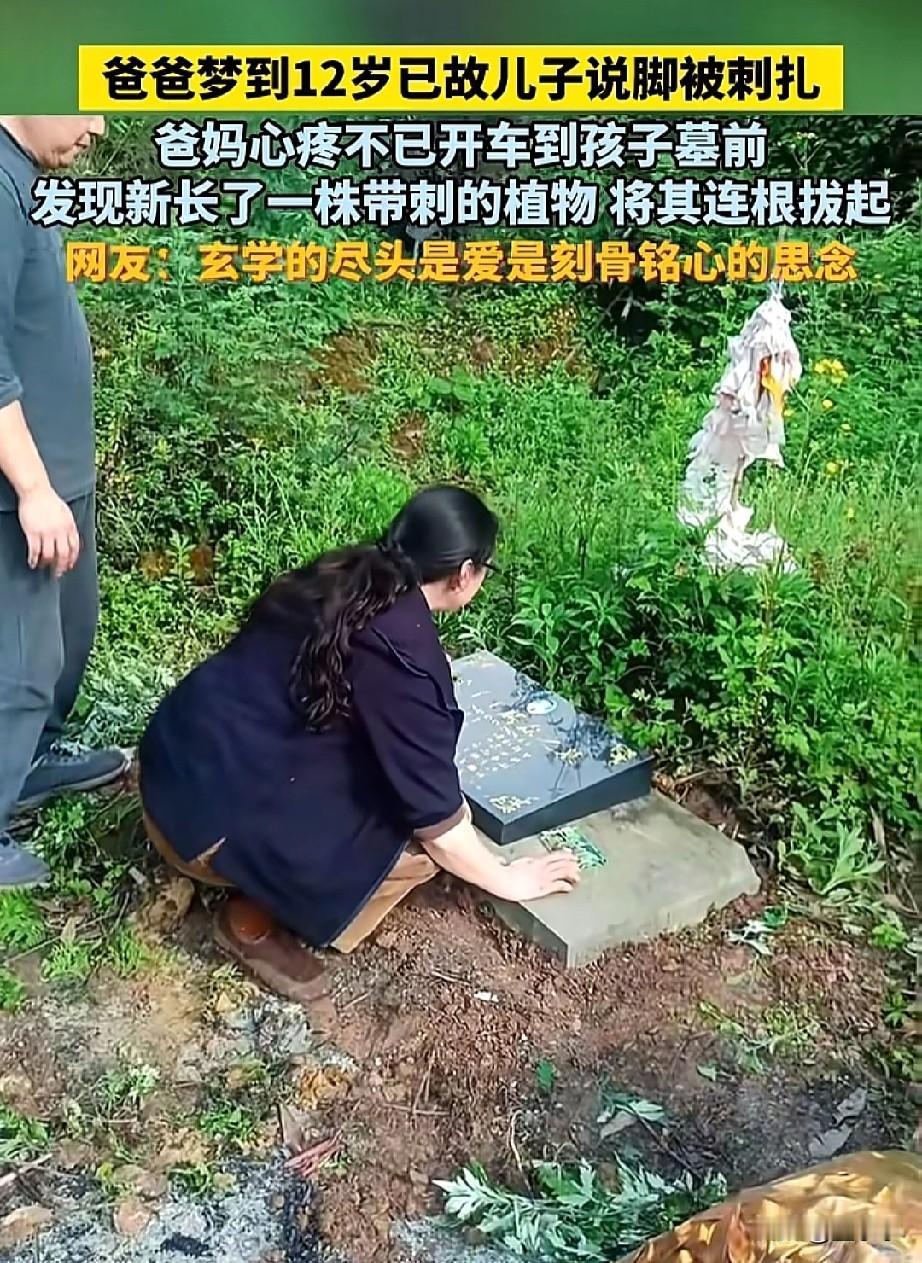 科学无法能解释的清楚！
重庆，一男子做梦梦到了15岁已故得儿子，儿子在梦里告诉他