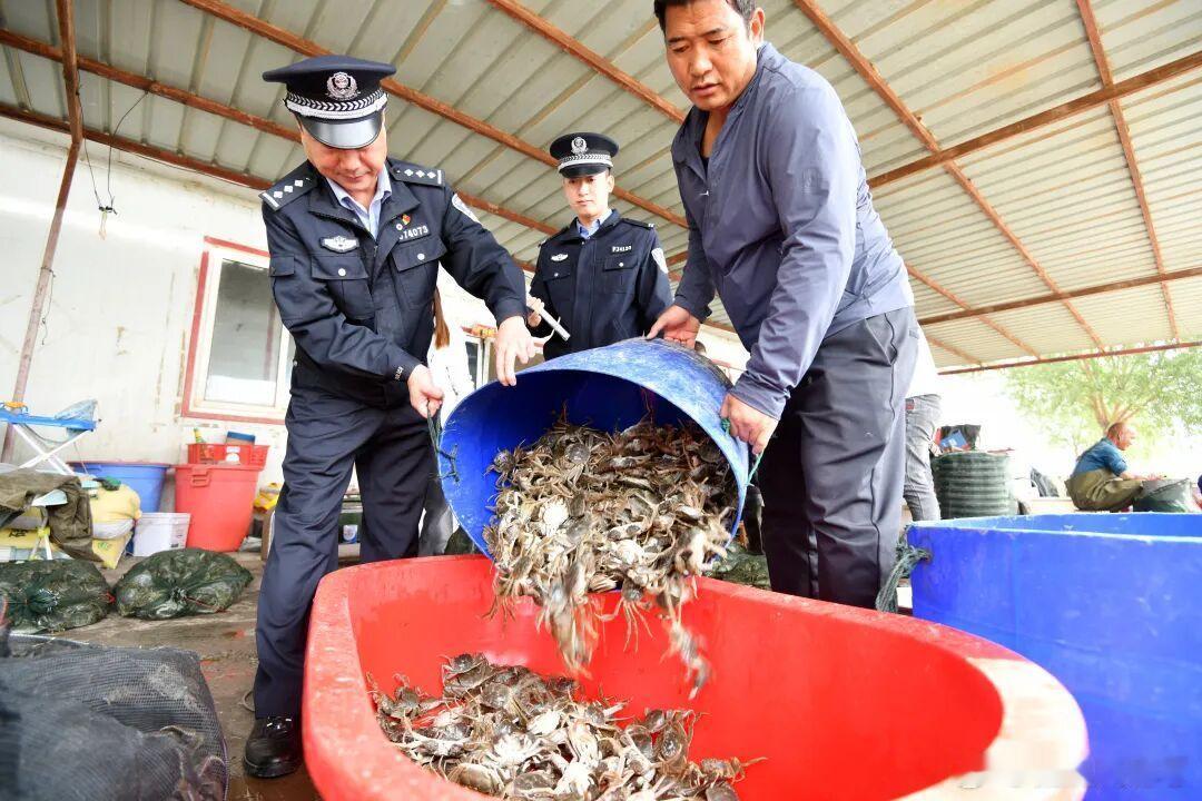 网络文明陇风清甘肃身边事兰州身边事 甘肃螃蟹来了！我们全力护航秋风送爽，蟹肥膏黄