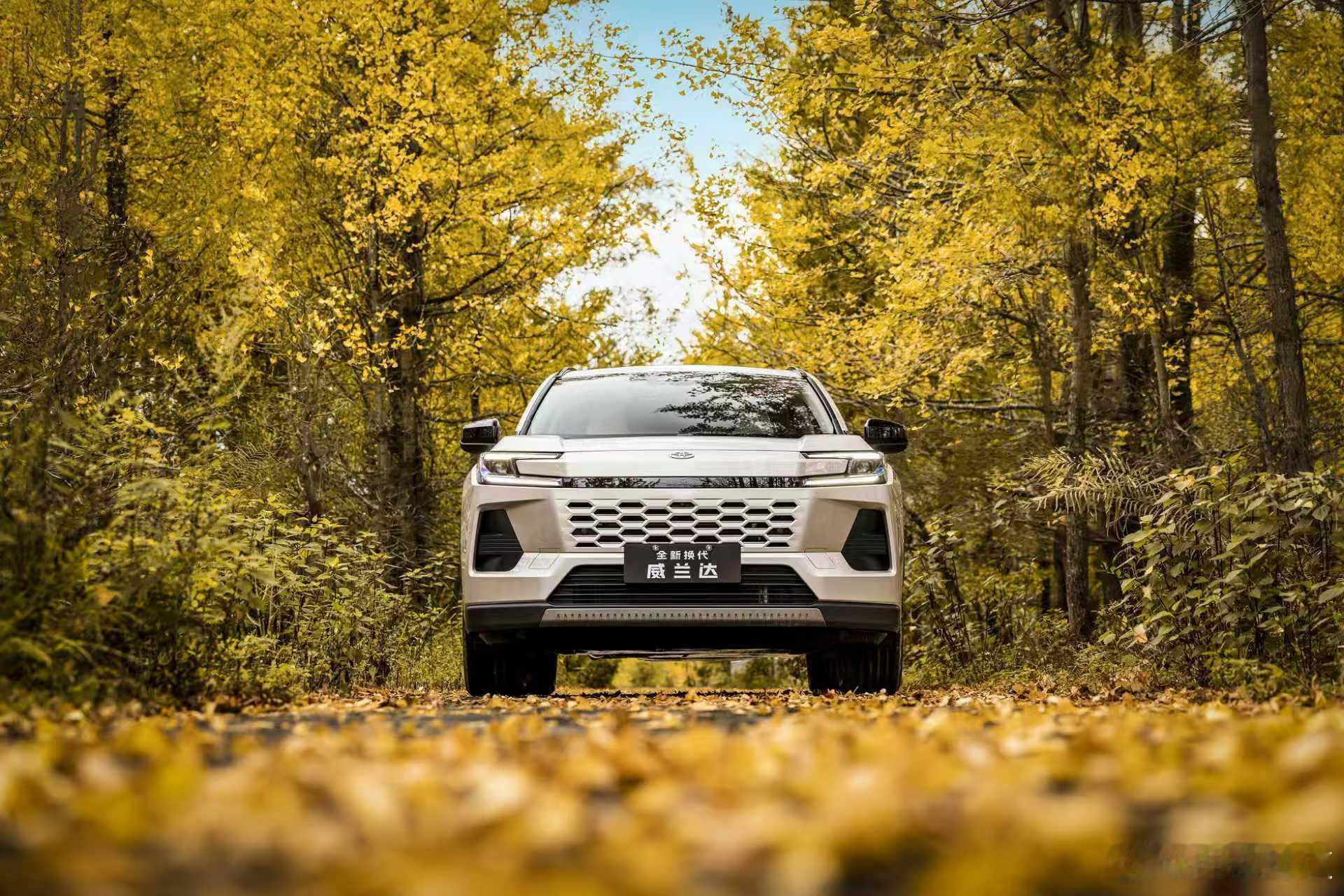 威兰达这个价格怎么样？