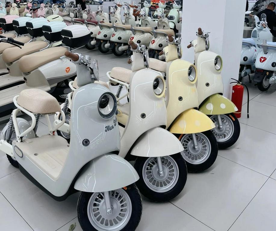 新国标电动车的确出现过几款很奇葩的车型，为了满足新国标的要求，没有考虑到车主个性