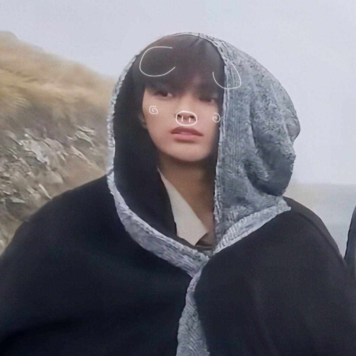 呆 