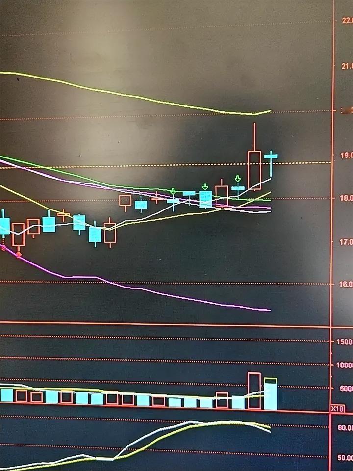 天地数码短线机会：低吸先手，小而美标的的安全博弈
 
老林：小李，昨天天地数码那