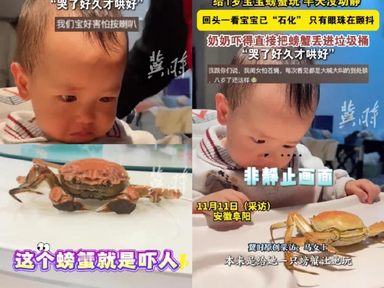 太可怕了！
安徽一女子把煮熟螃蟹给宝宝玩，
没想到宝宝一直盯着螃蟹看，半天都

