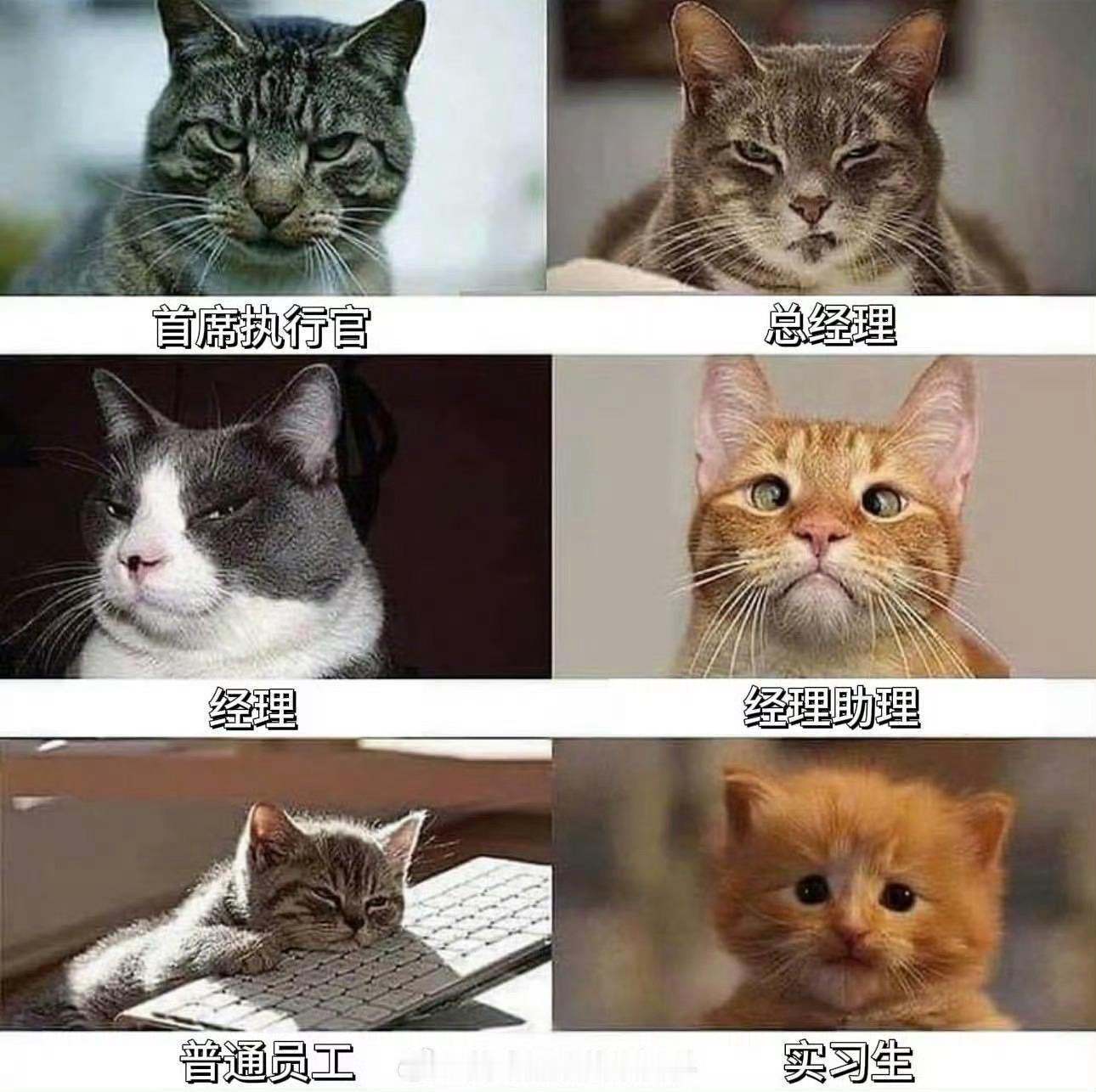 我是实习生：🥹 