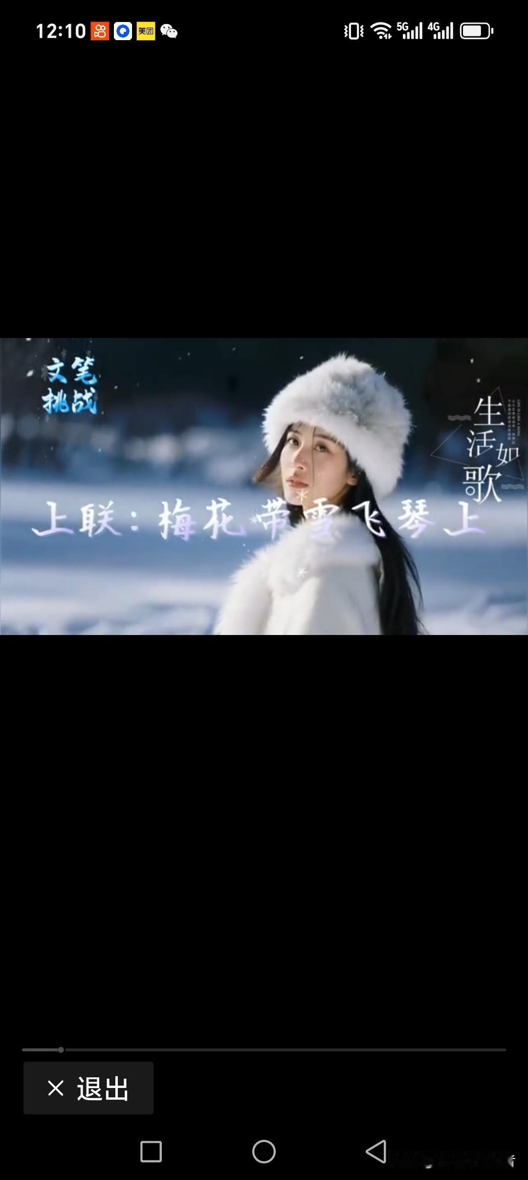 梅花带雪飞琴上
倩影带美跃屏中