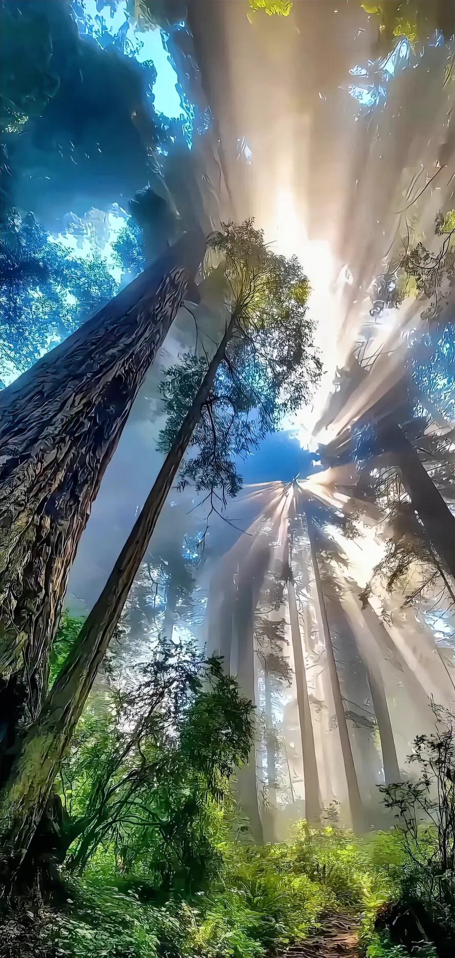 #竹露滴清响，你出上联#山风送爽音