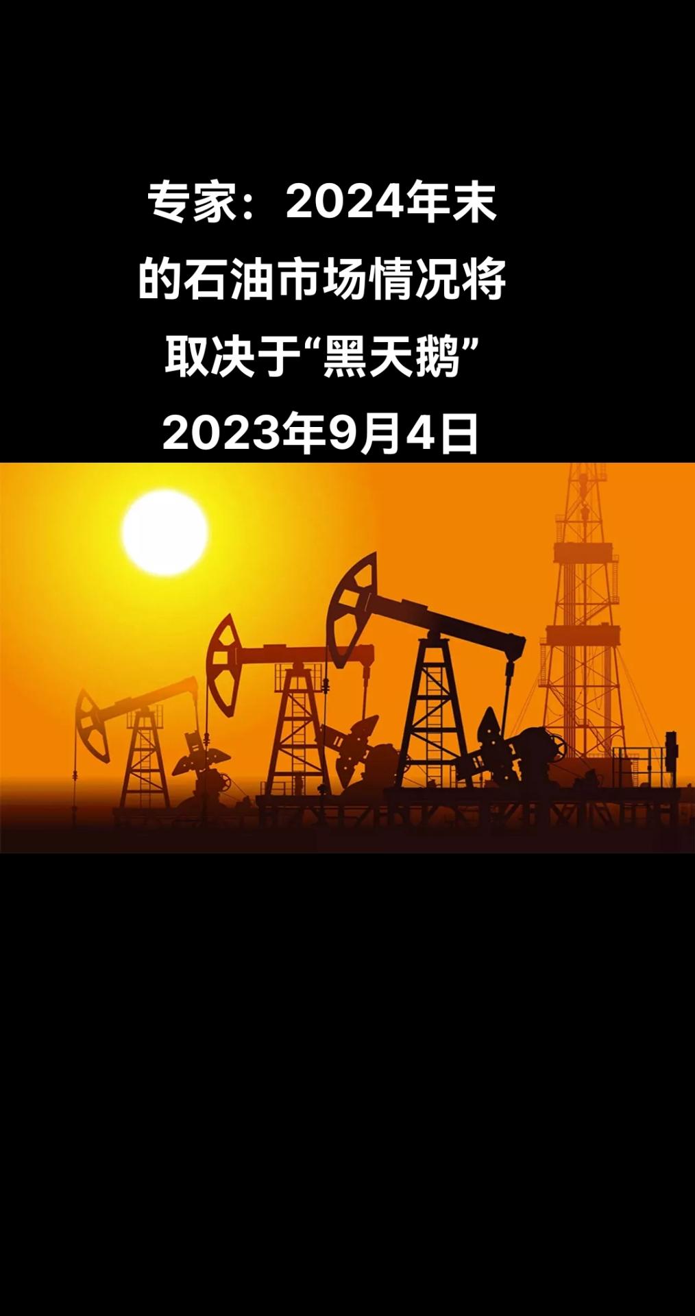 俄罗斯卫星通讯社莫斯科9月4日电 2024年下半年石油市场的情况将取决于石油“黑