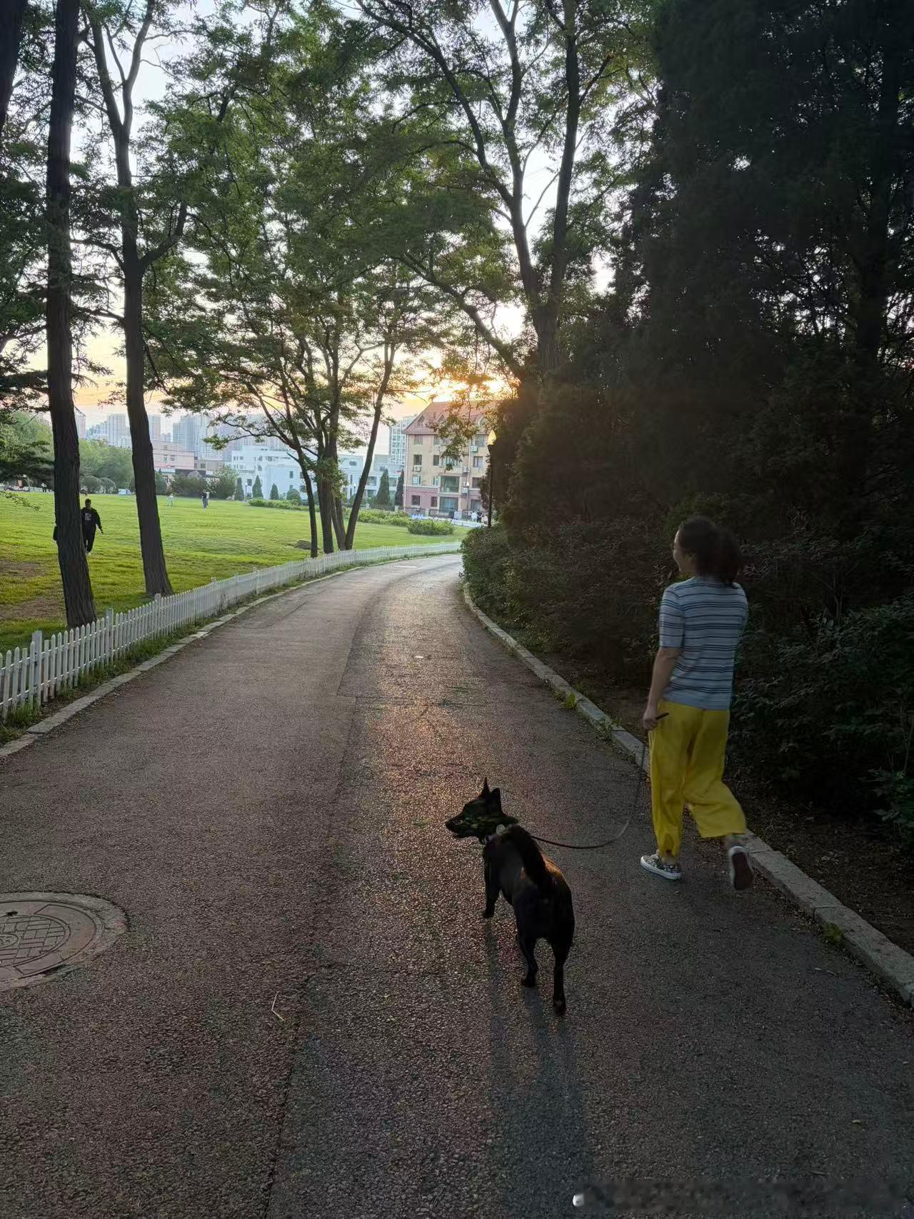 野妈陪黑总爬山