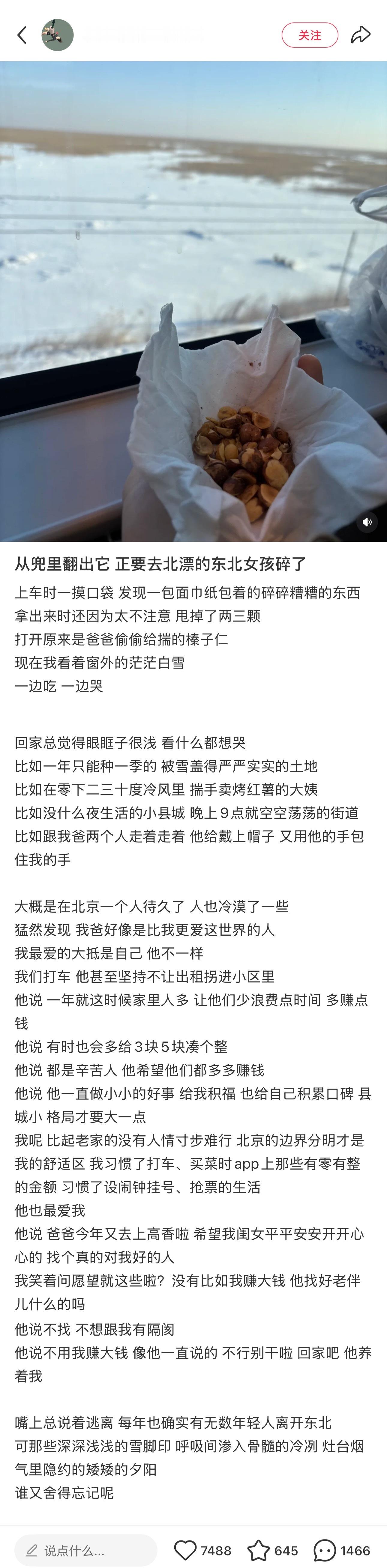 [单身狗]眼睛进石头了。。又要开始装小大人了 