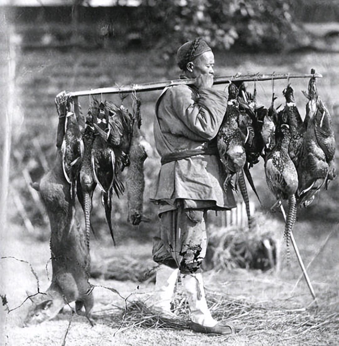 舍不得孩子套不住狼，被误解了几百年！
 
很多人一听这句俗语都吓一跳：难道要拿孩