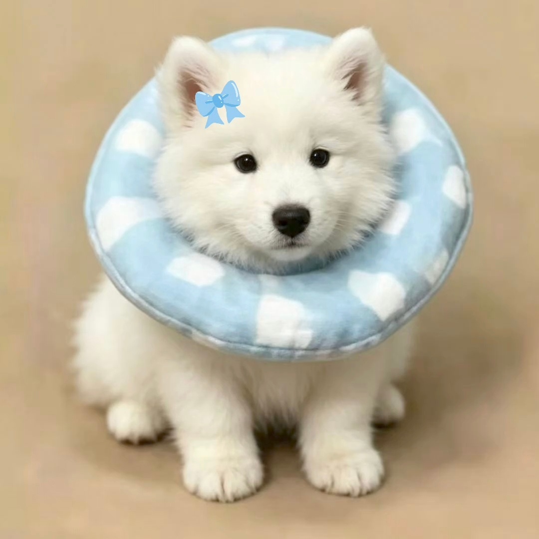 情头积累 