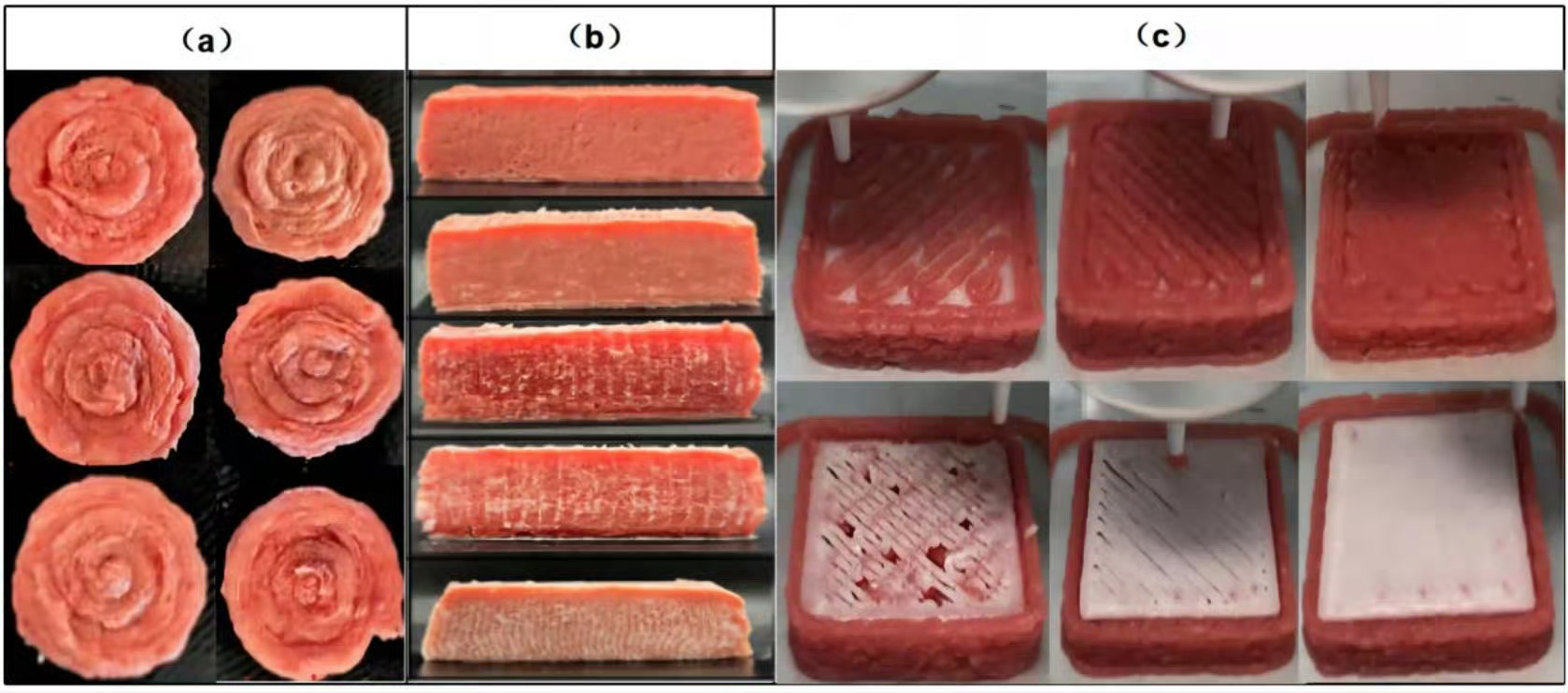 有生之年还能看见猪肉下岗¹ 实验室培育肉，就是在培养皿架子上长出来的“猪肉”“鸡