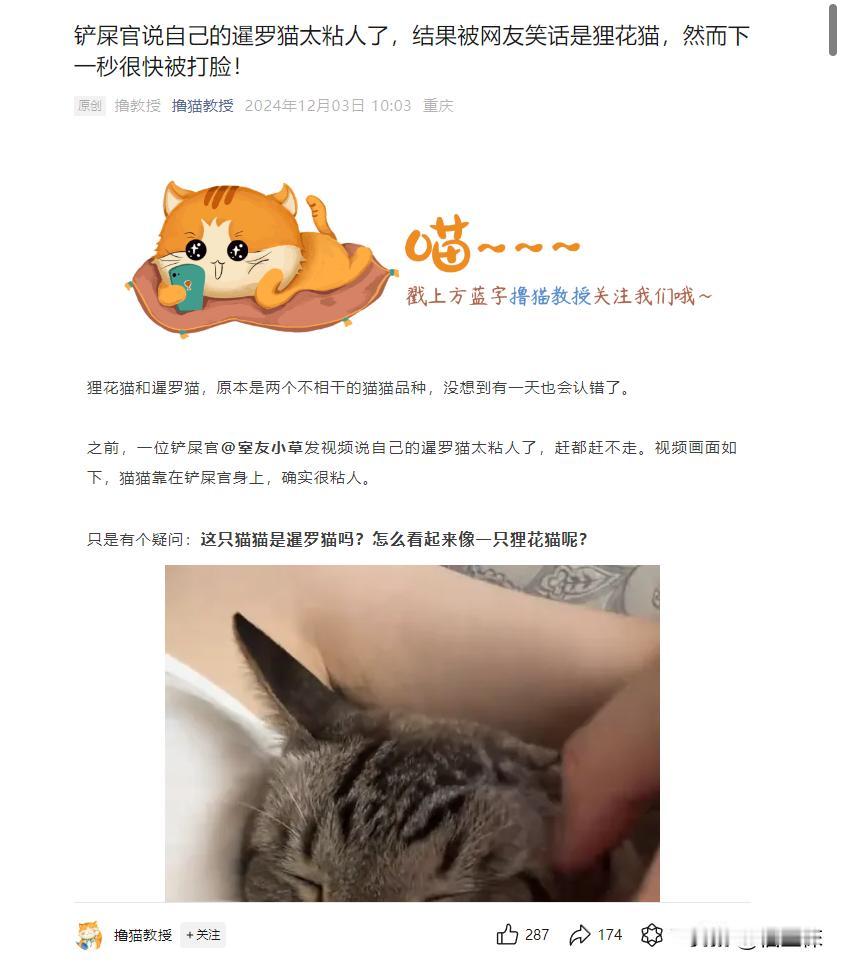 虎斑暹罗猫和狸花猫只能从颜色深浅区分了。