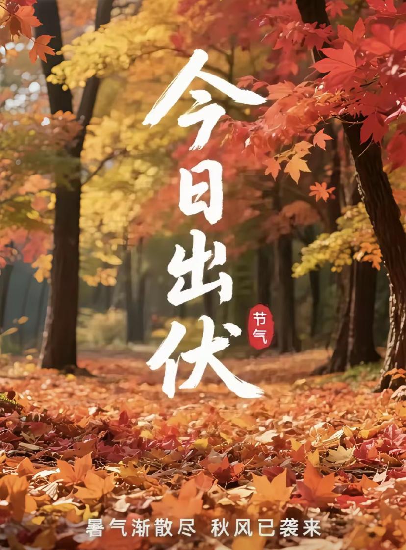 [福]2026./8月24日，三㐲辞归，炎威渐敛，新秋启序爽气徐来[福]

🍁