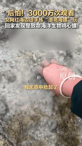 “差点就没命了！”女网红海边徒手捡到“漂亮海螺”的视频火了！万万没想到，当她回家