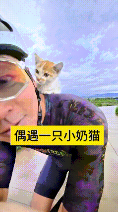 真叫人心软嘞，这位大哥天天出门骑车锻炼，今儿个路上碰见只可怜嘞小奶猫。小猫从草丛