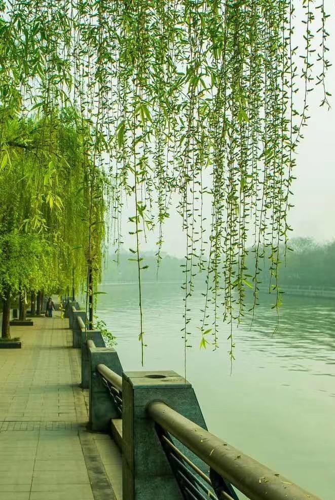 下联：红荷觅句雨添香
上联“翠柳寻诗风润笔”以翠绿柳条在风中摇曳喻作寻诗，风儿润