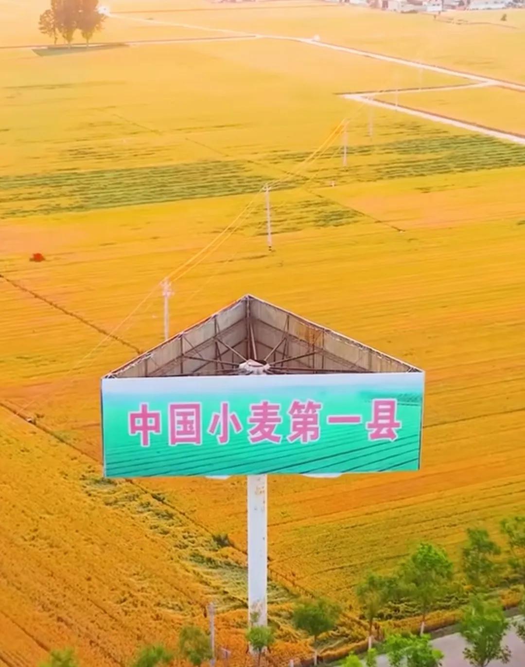 中国小麦第一县。